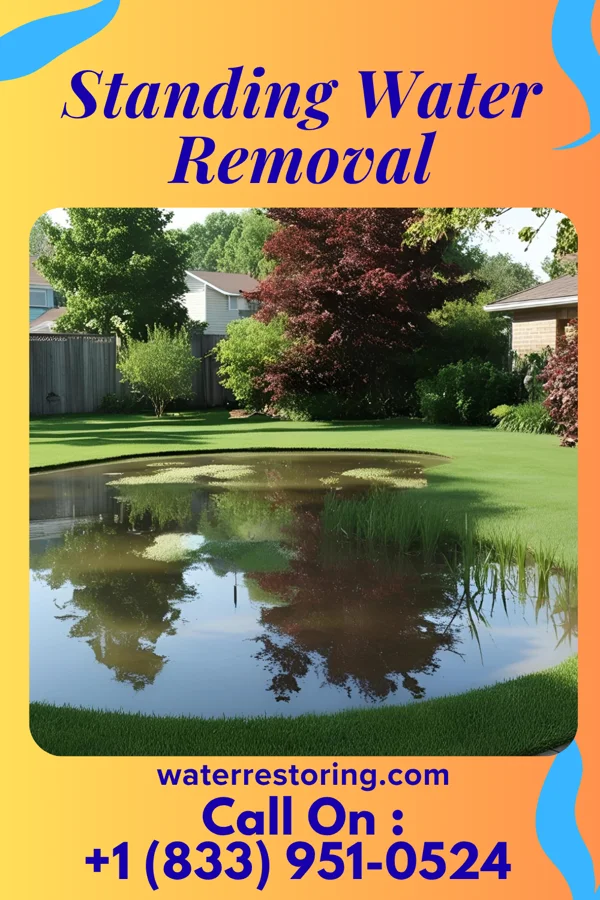 Standing Water Removal in Kendall, FL